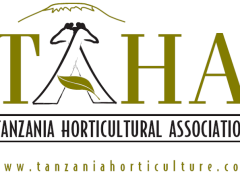 NAFASI Za Kazi TAHA Tanzania