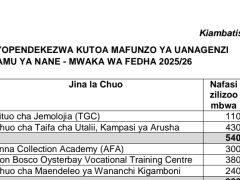 VYUO 46 Vilivyokubaliwa na Serikali Kutoa Mafunzo ya Ufundi Stadi 2025/2026