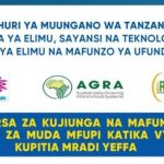 FURSA Za Mafunzo ya Ufundi Stadi ya Muda Mfupi – VETA (YEFFA)