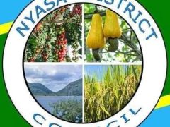 NAFASI Za Kazi Nyasa District Council
