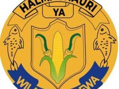 NAFASI Za Kazi Ludewa District Council