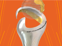 CAF yafuta Mashindano ya CHAN, Sababu Zatajwa