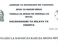NAFASI Za Walimu Chunya Pre & Primary English Medium