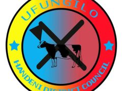 NAFASI Za Kazi Handeni District Council