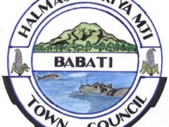 NAFASI Za Kazi Babati Town Council