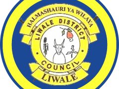 NAFASI Za Kazi Liwale District Council