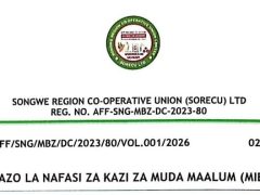 NAFASI Za Kazi Sorecu LTD